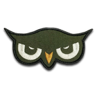 Шеврон Глаза совы 10х5 см - изображение 1