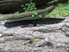 Карманный нож Ruike P801-SB Черный - изображение 9