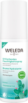 Weleda Spray do opuncji kaktusowej 100 ml (7611916357756) - obraz 1