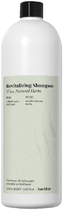 Трав'яний шампунь FarmaVita Back Bar Revitalizing Shampoo 04 для глибокого очищення 1 л (8022033107237) - зображення 1