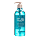 Охолоджуючий шампунь для волосся з ментолом Esthetic House CP-1 Head Spa Cool Mint 500