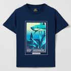 T-shirt dziecięcy OVS T-Shirt S/S Dress Blues 1799629 110 cm Niebieski (8056781060261) - obraz 1