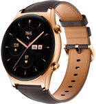 Smartwatch Honor Watch GS 3 Classic Gold (KAN-B19/GD) - obraz 1