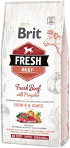 Сухий корм для цуценят Brit Fresh Beef&Pumpkin Puppy Large Growth Joints 2.5 кг (8595602530762) - зображення 1