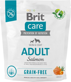 Karma sucha dla psów Brit care grain-free adult salmon 1 kg (8595602558858)