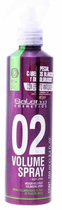 Spray do włosów Salerm Cosmetics Root Lifter Volume Spray 250 ml (8420282038928) - obraz 1