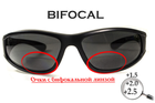 Окуляри біфокальні поляризаційні (захисні) BluWater Winkelman-2 polarized (+2.5 bifocal), (gray) чорні - зображення 1