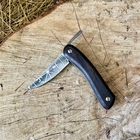 Нож раскладной Норвег Gorillas BBQ фрикционный - изображение 5
