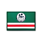 Патч Флаг Ичкерии (ПВХ), Green - изображение 1