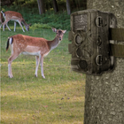 Фотопастка лісова камера 50Mpx Full HD (підтримка карт пам'яті, нічний запис, широкий кут огляду, кольоровий дисплей) - зображення 8