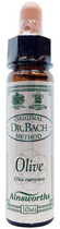 Krople do fitoterapii Santiveri Bach Olive 10 ml (5032587000673)