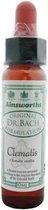 Krople do fitoterapii Santiveri Bach Clematis 10 ml (5032587000536)