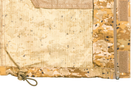 Куртка гірська літня P1G-Tac Mount Trac MK-2 Камуфляж Жаба Степова M/Long (J21694JBS) - изображение 13