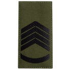 Шеврон нашивка на липучке погон звания ВСУ Головний сержант 5х10 см - изображение 1