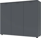 Комод Doros Рон 6 120 х 38 х 100 см 3 фасада Графит (41516000)