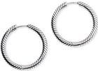 Kolczyki Pandora Charm Hoop Earrings (5700302938807)