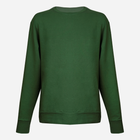 Джемпер чоловічий DKaren Sweatshirt Justin 2XL Зелений (5903251465015) - зображення 3