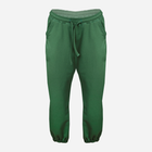 Спортивні штани DKaren Wenezja S Зелені (5903251455443) - зображення 2