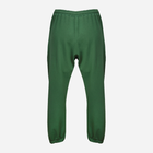 Спортивні штани DKaren Wenezja L Зелені (5903251455467) - зображення 3