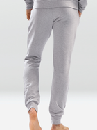 Спортивні штани чоловічі DKaren Pants Justin M Grey (5903251464506) - зображення 2