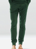 Спортивні штани чоловічі DKaren Pants Justin L Green (5903251464636) - зображення 1