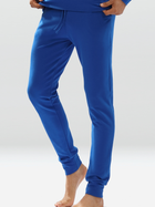 Спортивні штани чоловічі DKaren Pants Justin 2XL Cornflower (5903251464773) - зображення 1