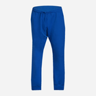 Спортивні штани чоловічі DKaren Pants Justin L Cornflower (5903251464759) - зображення 3