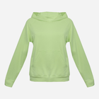 Худі жіноче DKaren Sweatshirt Seattle L Світло-зелене (5903251468221) - зображення 3