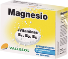 Suplement diety Vallesol Effervescent Magnesium B 24comp (8424657740126) - obraz 1