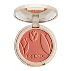 Рум'яна Artdeco Silky Powder Blush Terracotta Cheeks 4 г (4052136108507) - зображення 1