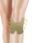Пластир з екстрактом полиня для зняття болю в суглобах коліна 10 штук (1000PLSTR) CLS55 - зображення 1