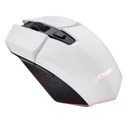 Мышь беспроводная Trust GXT 110 FELOX, White, USB 2.4GHz, оптическая (сенсор PAW3212), 800 - 4800 dpi, 6 кнопок, аккумулятор (25069)