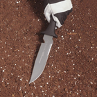Нож Rikukatana, нержавеющая сталь TOMITA, 190 мм, Nisaku (NJP810, 1117375) - изображение 3