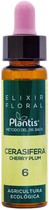 Suplement diety Artesania Plantis 6 Cerasifera 10 ml (8435041090062) - obraz 1