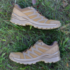 Чоловічі тактичні кросівки LOWA Innox Pro Gtx Lo Tf 310832/0731 44.5 (10) Coyote OP (2000980484492) - зображення 9