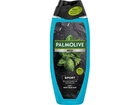 Гель для душу PALMOLIVE 500мл для чоловіків "Спорт"