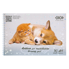 Альбом для малювання 30арк ZB.1451-09 FRIENDLY KIDS Line120г/м2,на пружині сірий (4/72)