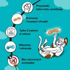 Przysmak dla kotów Dreamies Kocimietka 60 g (5998749142448) - obraz 2