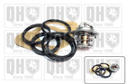 Термостат JP GROUP QTH118K Opel Ascona, Kadett, Vectra, Astra, CORSA, Combo, Meriva; Volkswagen Passat, Polo, Scirocco, Golf, Jetta; Ford Transit; Daewoo Espero, Nexia 03038094, 036121113A, 036121113B