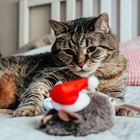 Zabawka dla kota Dingo Mikołaj z kocimiętką 9 cm (5904760211988) - obraz 3