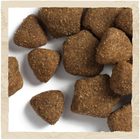 Sucha karma dla dorosłych psów Purina Dog Chow z jagnięciną 14 kg (8445290813442) - obraz 4