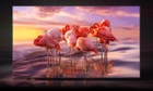 Telewizor Samsung QE55S90CATXXH - obraz 5