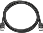Kabel HP DisplayPort – DisplayPort 2 m Black (884962395547) - obraz 1