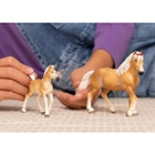 Figurka Schleich Horse Club Haflinger Foal 7 cm (4059433557519) - obraz 2