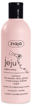 Шампунь для волосся Ziaja Jeju Манго Кокос Папайя 300 мл (5901887045229) - зображення 1
