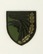 Шеврон, нарукавна емблема з вишивкою ВОРОН, на липучці, олива 80×70мм - зображення 2