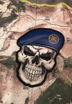 3D патч \ шеврон "Радиотехнические войска ВВС ВСУ" - изображение 3