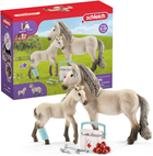 Ігровий набір Schleich Horse Club First Aid Kit for Horses (4055744021602)