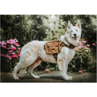 Тактичний рюкзак OneTigris K9 Hoppy Camper Dog Pack для собак L 2000000141244 - зображення 6