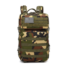 Тактичний рюкзак Armour Tactical B1145 Oxford 900D (з системою MOLLE) 45 л Ліс - зображення 2